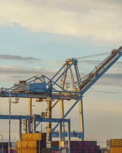 Soğuk Zincir ve Özel Taşımacılık